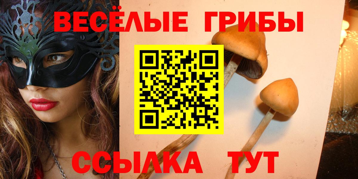 Лесозаводск  Галлюциногенные грибы прущие грибы  Вход с VPN 